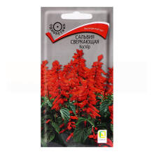 Семена цветов Сальвия сверкающая Костер Поиск, 0,1 г