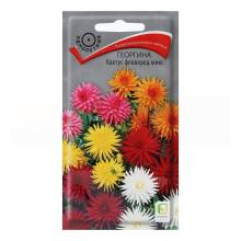 Семена цветов Георгина Кактус фловеред микс Поиск, 0,2 г