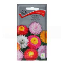 Семена цветов Гелихризум Махровый смесь окрасок Поиск, 0,25 г