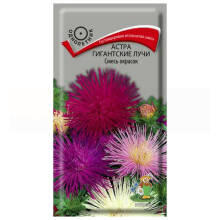 Семена цветов Астра Гигантские лучи Смесь окрасок Поиск, 0,3 г