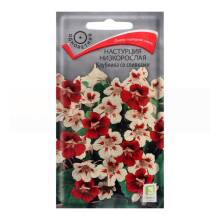 Семена цветов Настурция Низкорослая Клубника со сливками Поиск, 1 г