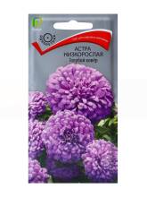 Семена цветов Астра низкорослая Голубой ковер Поиск, 0,2 г