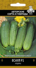 Семена огурец Есаул F1 Поиск Авторские сорта и гибриды, 12шт