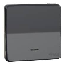 Переключатель Schneider Electric Mureva Styl наружный антрацит 10А IP55