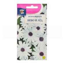 Семена цветов Остеоспермум Небо и лёд Поиск, 0,1г