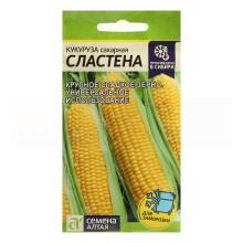 Семена Кукуруза сахарная Сластена Поиск, 5 г