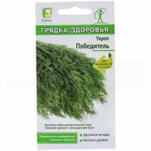 Семена Укроп Поиск Победитель, Грядка здоровья, 2г