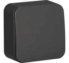 BLANCA одноклавишный выключатель наружный (cх.1) с изолирующей пластиной, 10A, 250B, антрацит